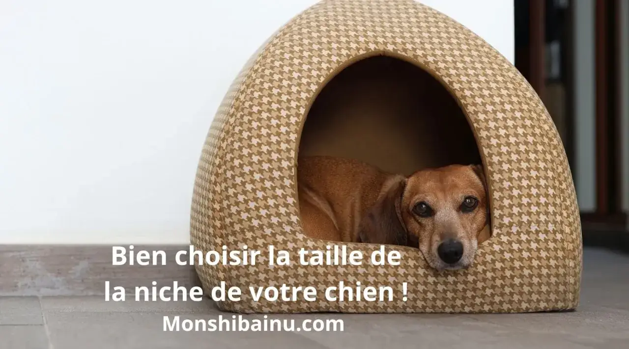 Un chien brun se repose dans une niche confortable. Bien choisir la dimension niche chien est essentiel pour son bien-être.