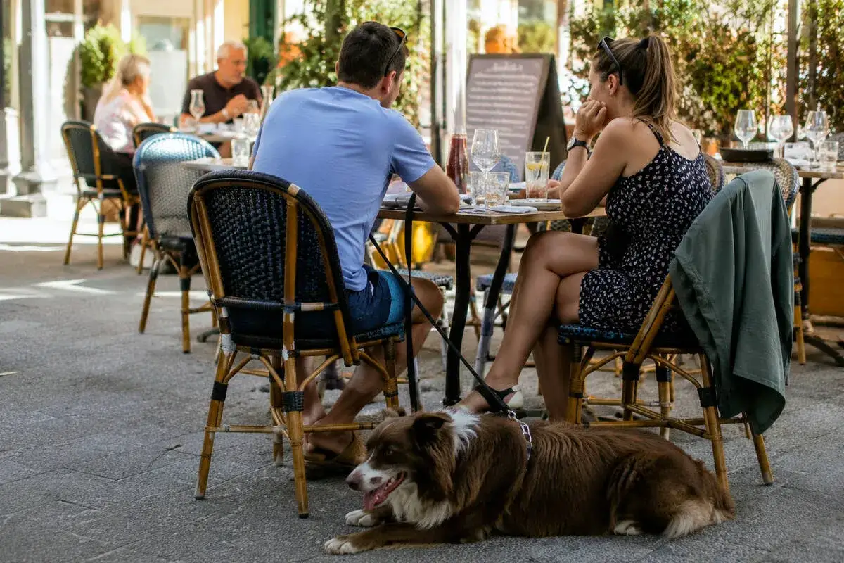 Un couple profite d'un repas en terrasse, leur chien paisiblement allongé à leurs pieds. Un lieu de séjour qui accepte les chiens, parfait pour les vacances.