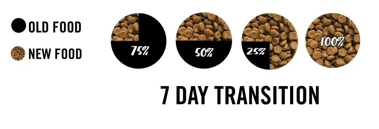 Transition alimentaire pour chiot : 7 jours, du 75% ancien au 100% croquette chiot nouvelle formule.