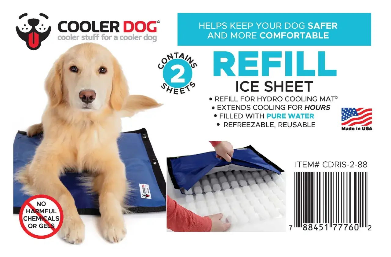 Chien doré sur un tapis rafraîchissant sans gel. Le tapis est bleu et contient des feuilles de glace pour un refroidissement durable.