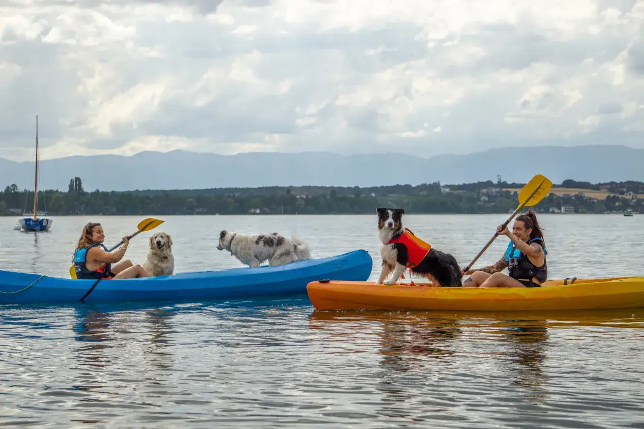 Deux femmes en kayak sur le lac Léman avec leurs chiens. Un chien est assis dans le kayak bleu, un autre se tient debout dans le kayak jaune.
