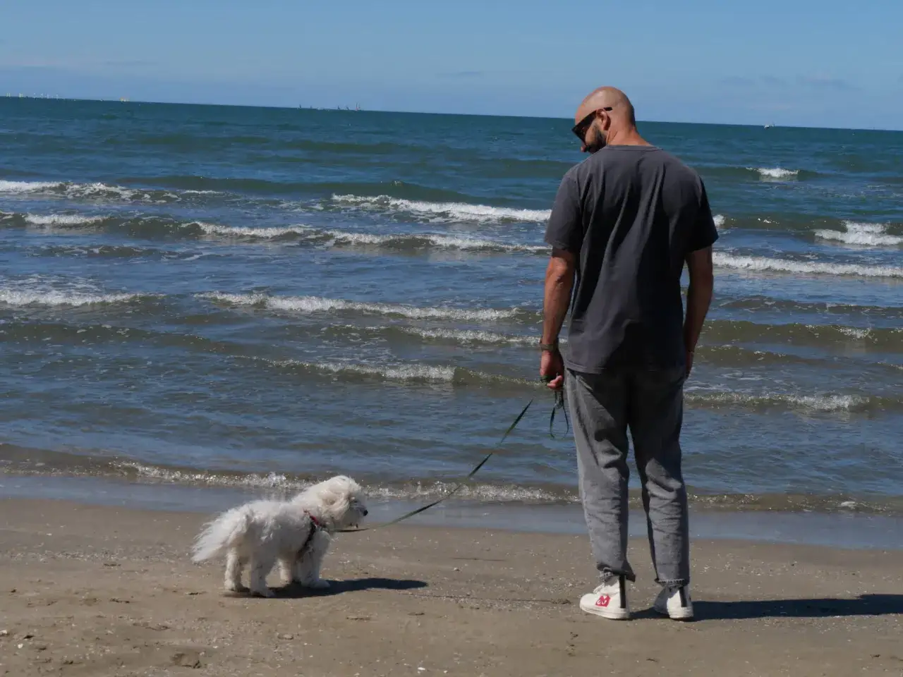 Un homme et son chien profitent de la plage du Grau du Roi, où les chiens sont autorisés. L'eau bleue et le sable fin invitent à la détente.