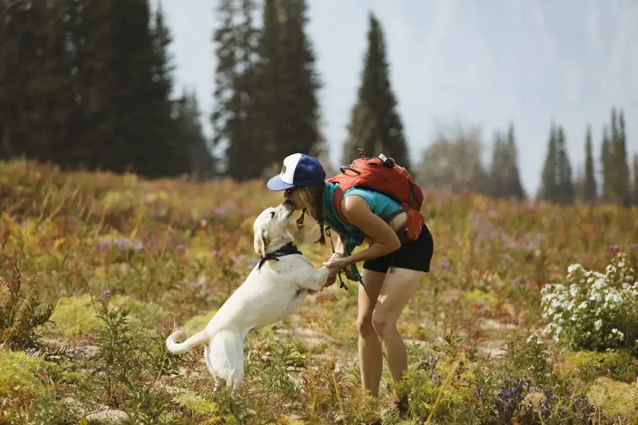 Une randonneuse c&acirc;line son chien dans un champ fleuri. Elle se demande combien de km peut marcher un chien par jour pour de telles aventures.