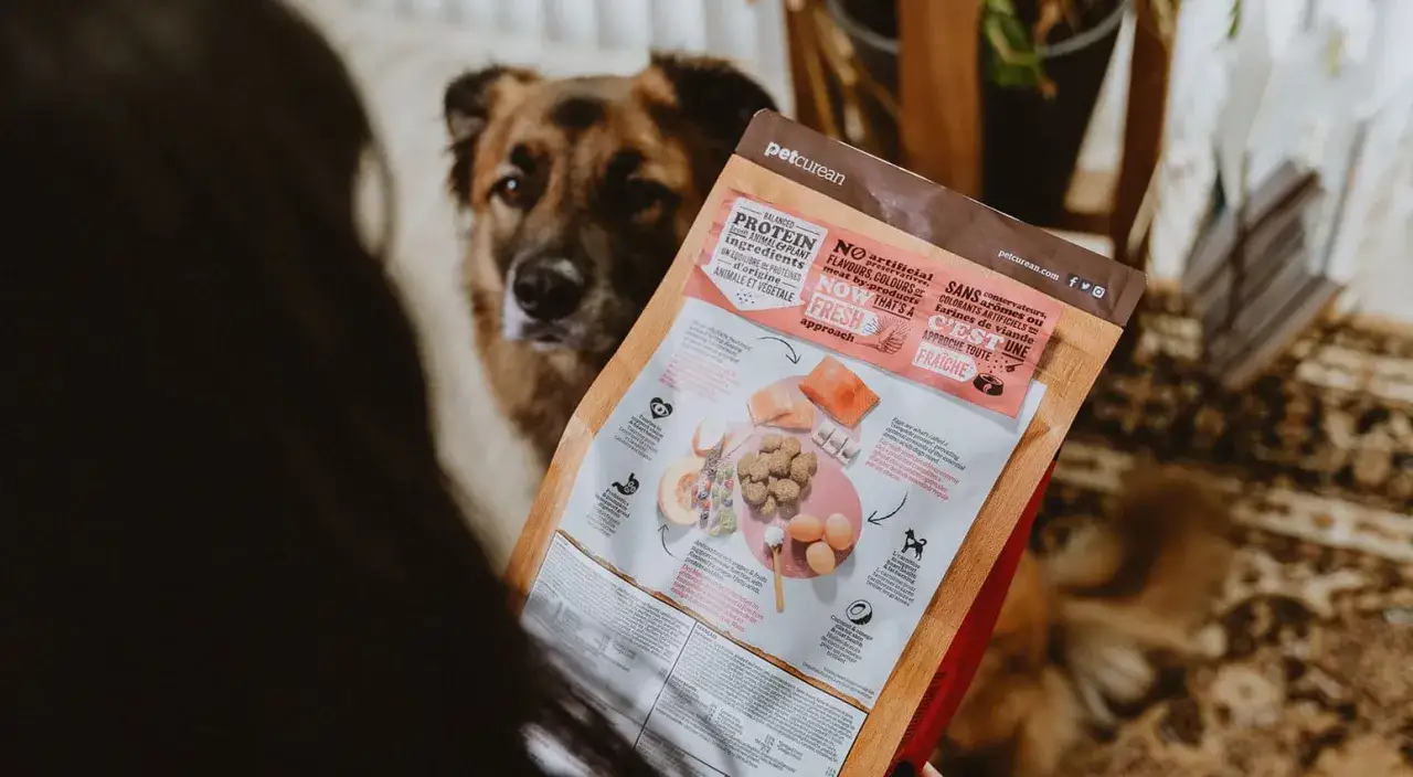 Un chien regarde une personne tenant un sac de croquettes. Le sac met en avant les ingrédients frais et naturels, un guide pour savoir comment choisir les bonnes croquettes pour son animal.