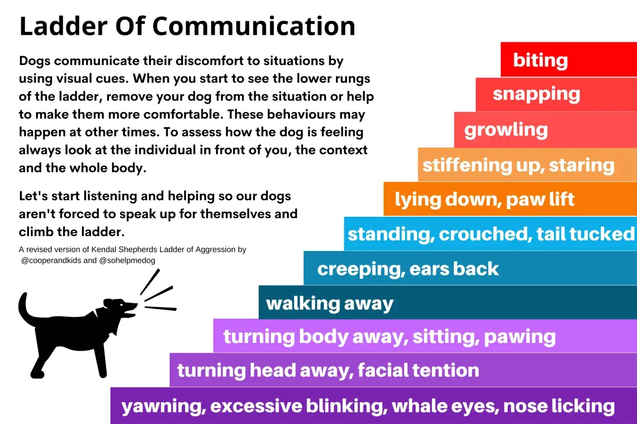 Échelle de communication canine : comprendre les signaux de votre chien pour mieux communiquer avec lui. De la léthargie aux morsures, apprenez à décoder son langage corporel.
