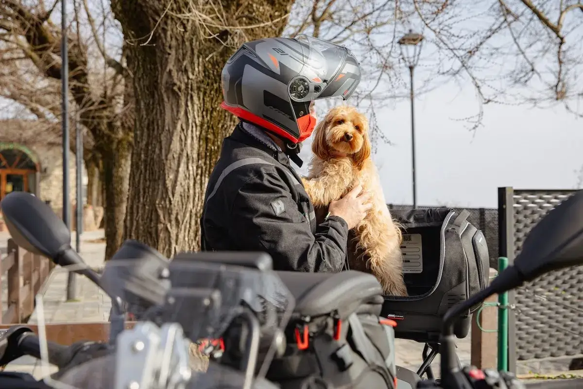 Un motard casqué tient son chien dans un top case moto pour chien de 20 kg, prêt pour une aventure.