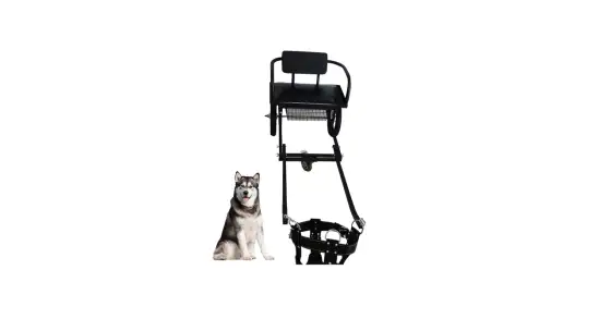 Attelage pour chien - bien choisir son équipement