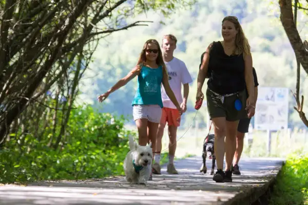 Une famille profite d'une promenade avec son puy de Sancy chien sur un sentier en bois, entourée de verdure.