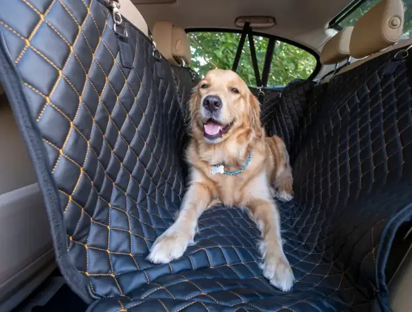 Un adorable chiot Golden Retriever profite du confort d'une housse de siège matelassée pour un transport en voiture en toute sécurité.