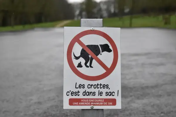 Panneau interdisant le caca de chien. Les crottes doivent être ramassées dans un sac, sous peine d'amende.