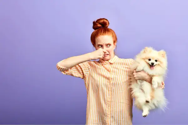 Une femme pince son nez, visiblement dérangée par l'odeur de son adorable petit chien. Mon chien sent mauvais, mais il est tellement mignon !