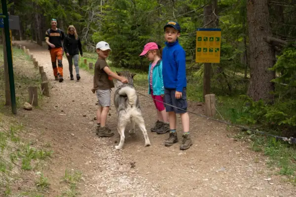 En balade près du lac Lauvitel, un chien husky interagit avec des enfants sur un sentier forestier.
