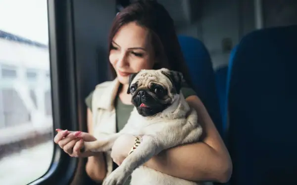 Une jeune femme tient son carlin, prêt à prendre l'Eurostar avec son chien.