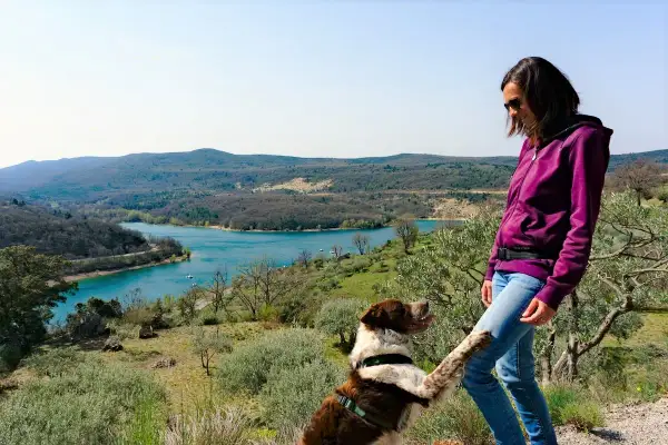 Un chien joueur lève la patte vers sa maîtresse, profitant d'une vue magnifique sur le lac de Sainte-Croix, au cœur des Gorges du Verdon.