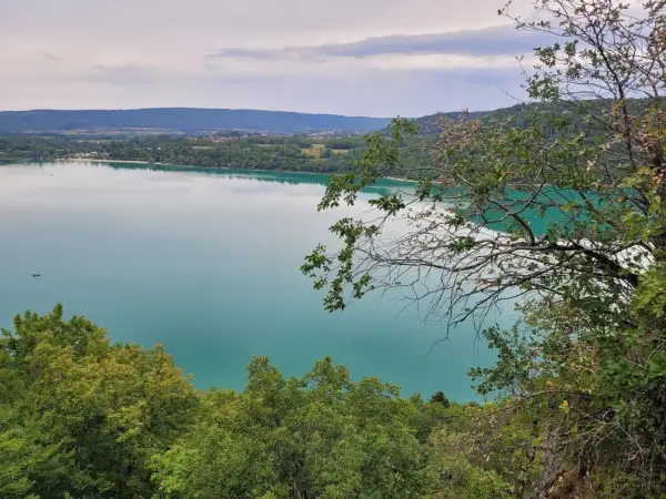 Vue panoramique du lac de Chalain, avec des arbres en premier plan. Un chien imaginaire court sur la rive.