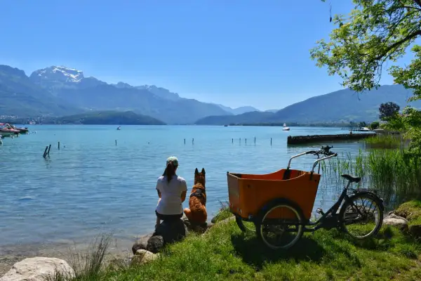 Journée paisible au lac Annecy, où un chien est autorisé à profiter de la vue avec sa maîtresse.